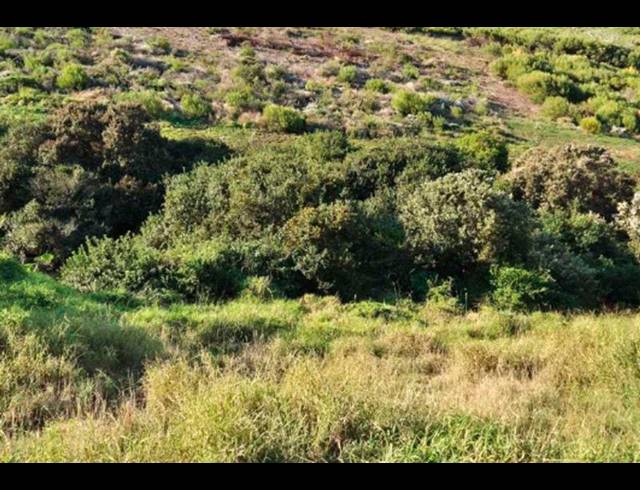 LAND FOR SALE IN DANA BAY